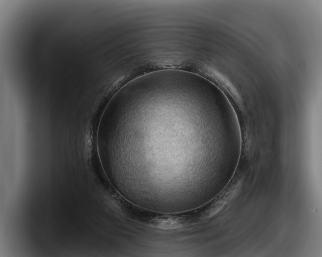 X0000097830113200803201505