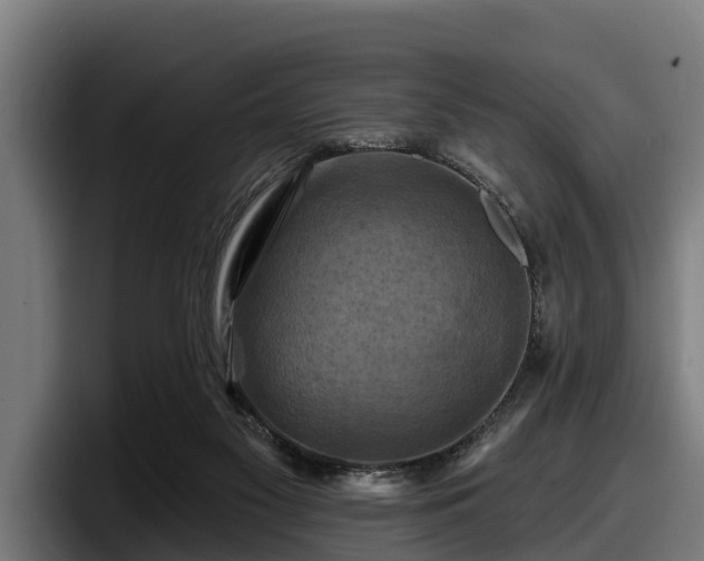 X0000097830117200803201505