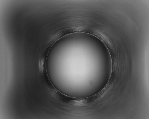 X0000097830118200803201505