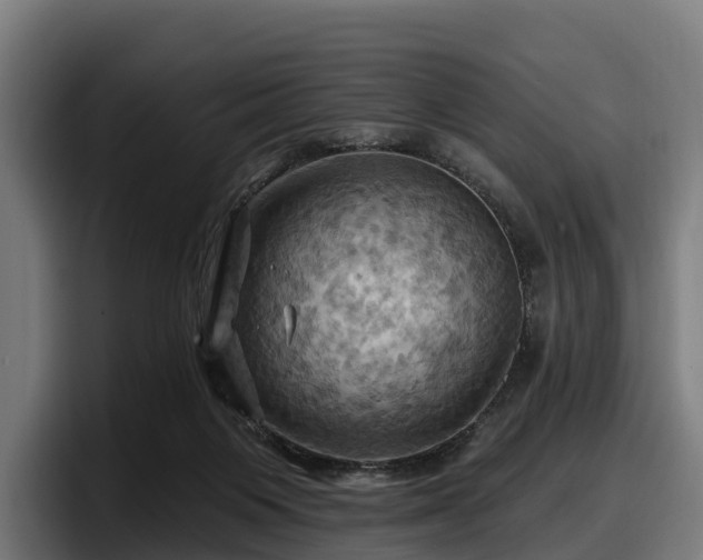 X0000097830119200803201505