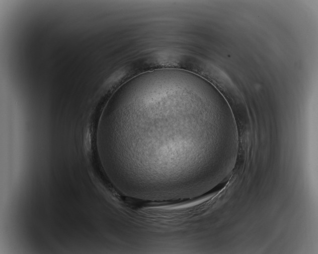 X0000097830120200803201505