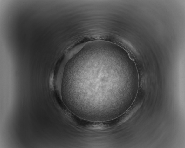 X0000097830121200803201505