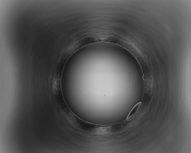 X0000097830126200803201505