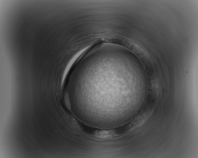 X0000097830129200803201505