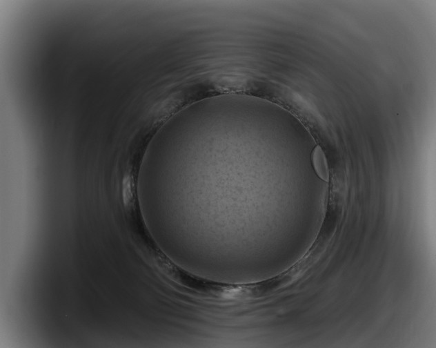 X0000097830130200803201505