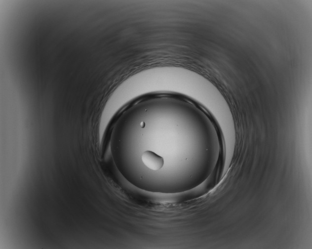 X0000097830136200803201505