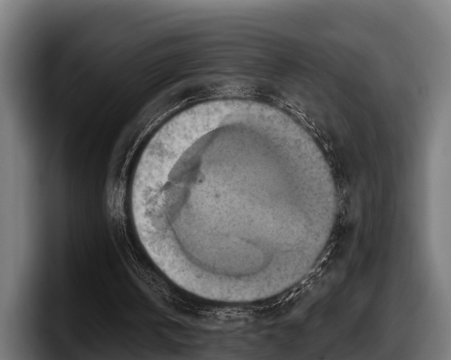 X0000097830146200803201504