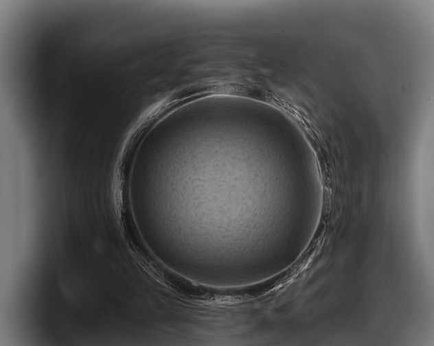 X0000097830149200803201505