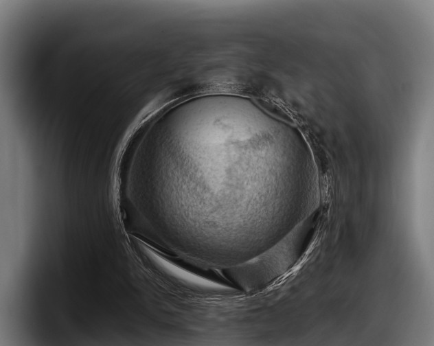 X0000097830150200803201505