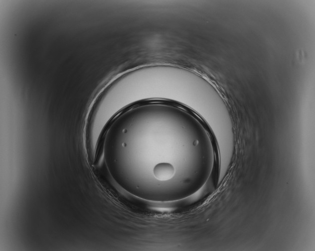 X0000097830152200803201505