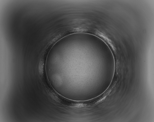 X0000097830153200803201505