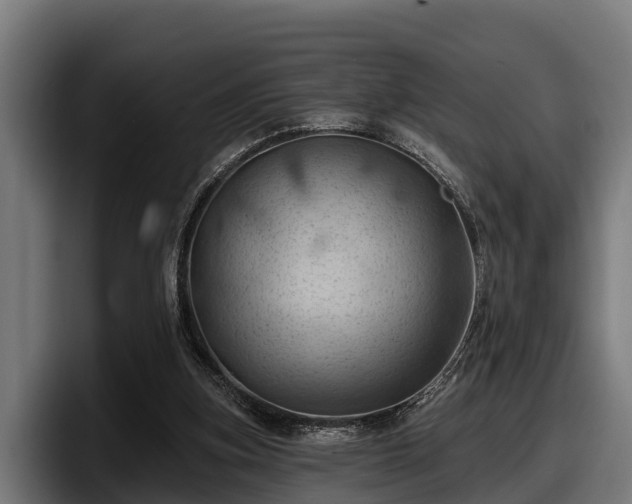 X0000097830155200803201505