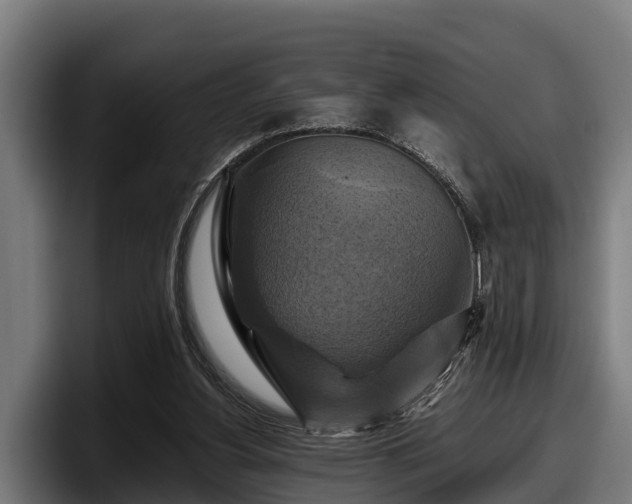 X0000097830156200803201505