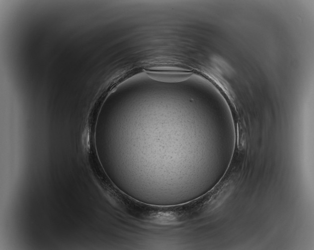 X0000097830157200803201505