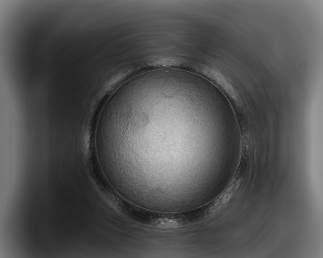 X0000097830159200803201505