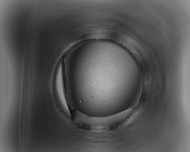 X0000097830160200803201505