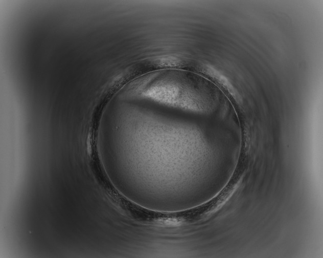 X0000097830161200803201505