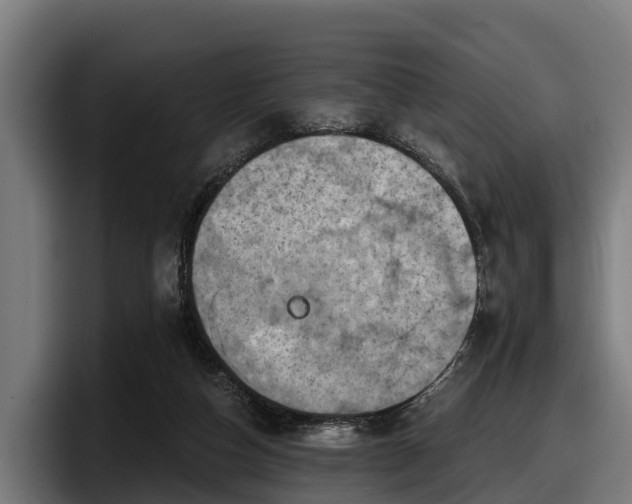 X0000097830162200803201505