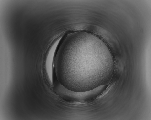 X0000097830164200803201505