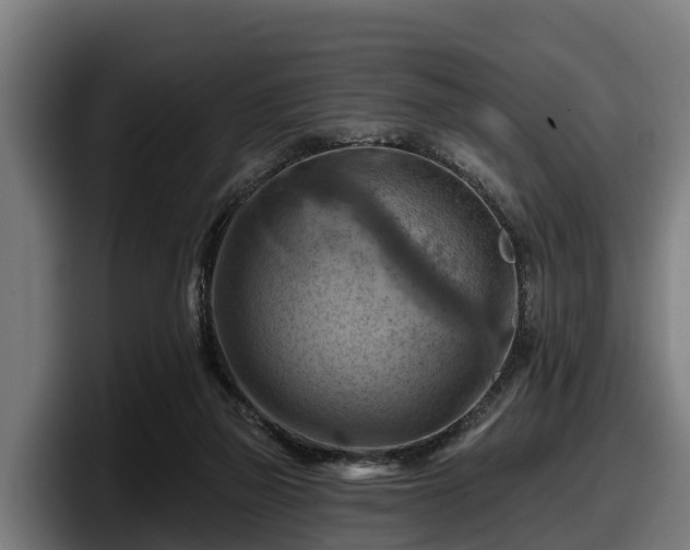 X0000097830165200803201505