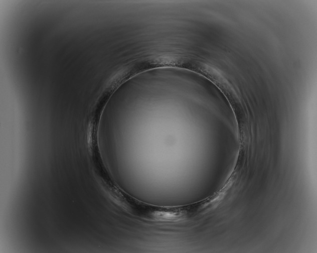 X0000097830167200803201505