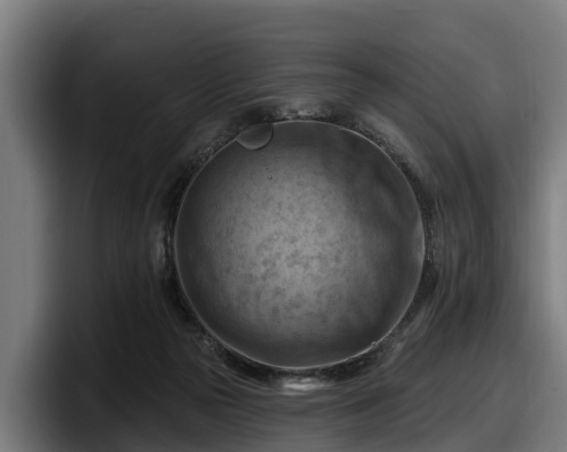 X0000097830169200803201505