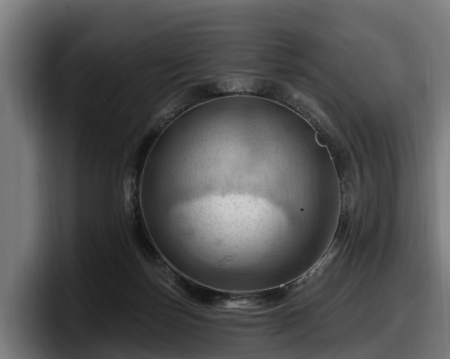 X0000097830171200803201505