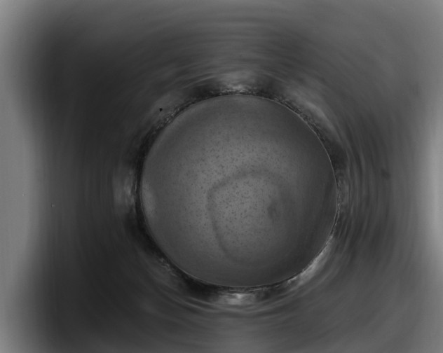 X0000097830174200803201505