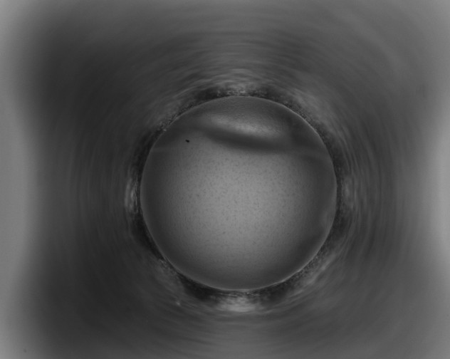 X0000097830177200803201505