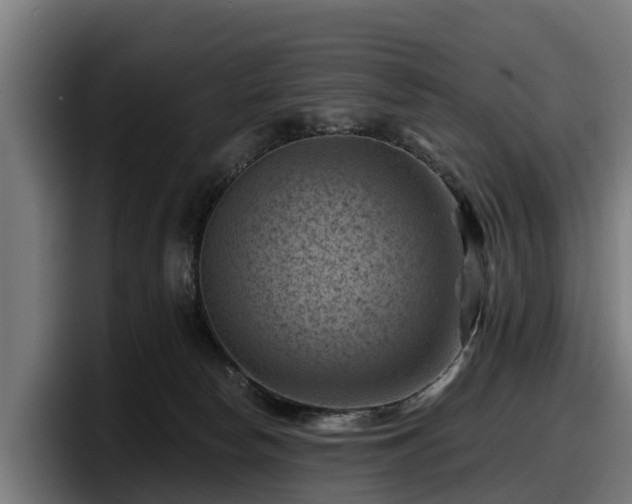 X0000097830178200803201505