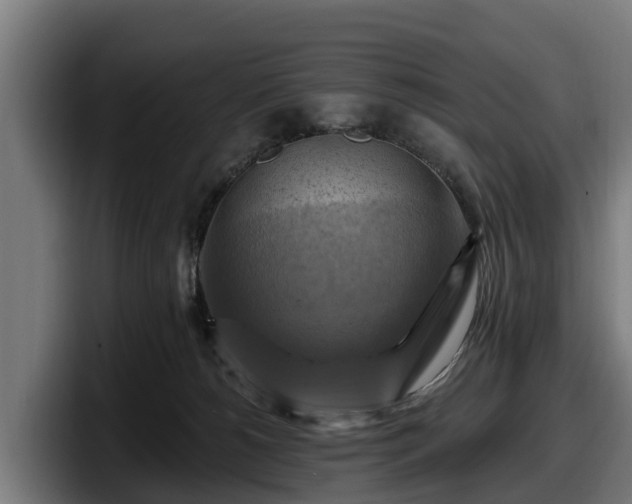 X0000097830180200803201505