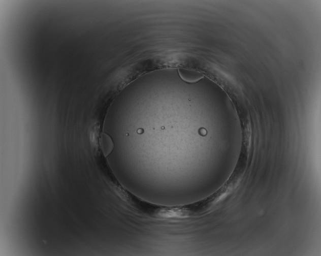 X0000097830181200803201505