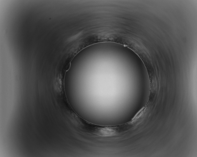 X0000097830183200803201505