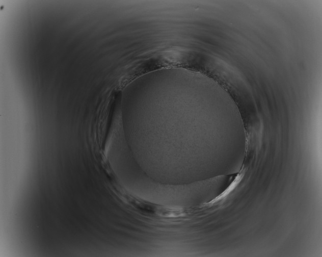 X0000097830186200803201505