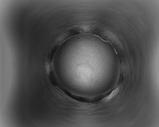 X0000097830188200803201505