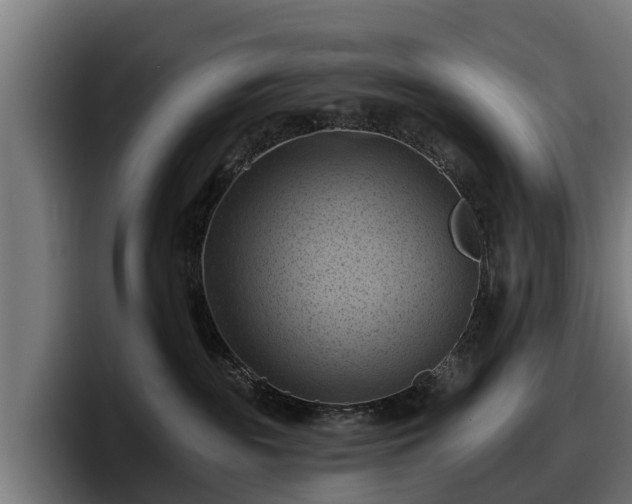 X0000097830189200803201505