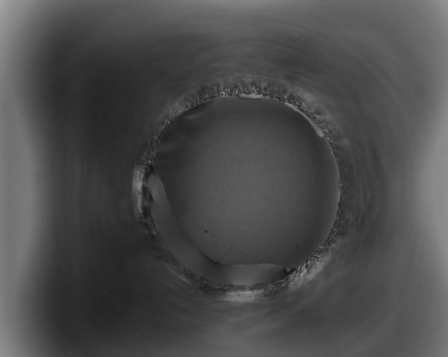 X0000097830192200803201505