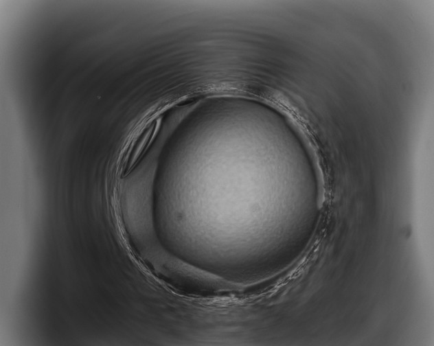 X0000097830193200803201504