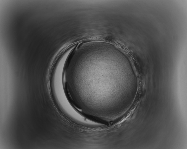 X0000097830197200803201504