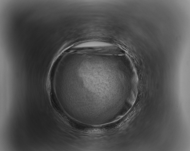 X0000097830198200803201504