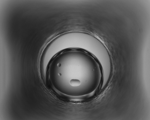 X0000097830199200803201504