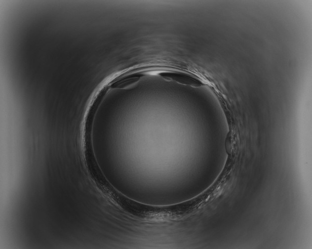 X0000097830200200803201504