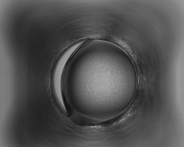 X0000097830201200803201504