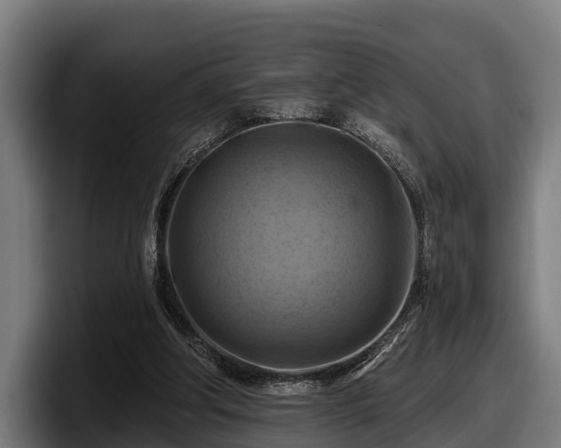 X0000097830202200803201504