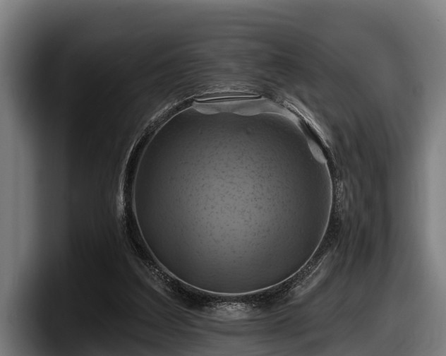 X0000097830203200803201504