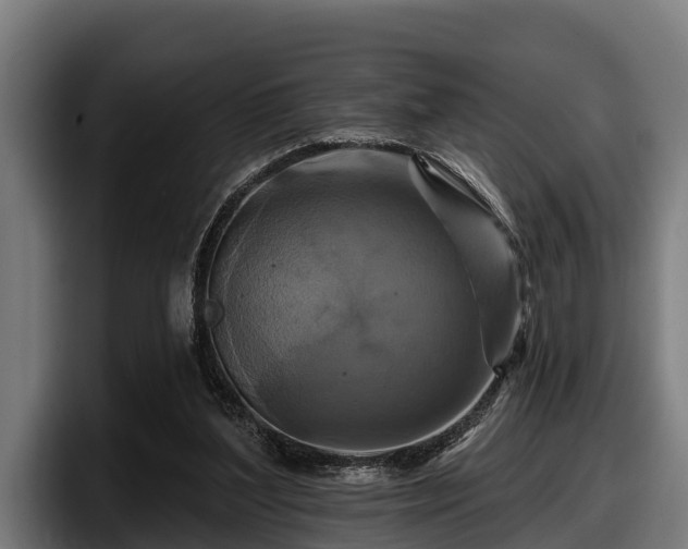 X0000097830204200803201504