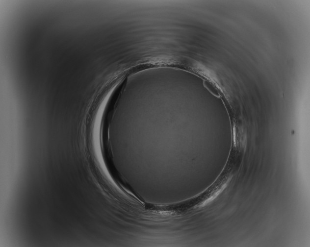 X0000097830205200803201504