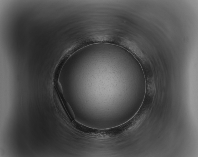 X0000097830207200803201504