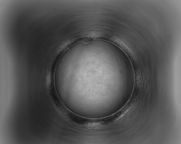 X0000097830208200803201504