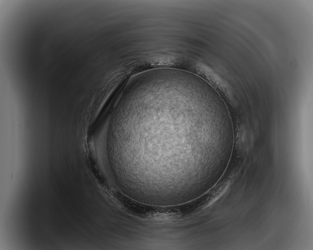 X0000097830209200803201504